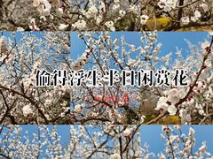 -前关湿地公园