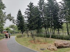 -映月湖公园