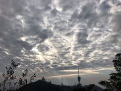 -梧桐山风景名胜区