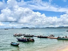 -广东惠东海龟国家级自然保护区