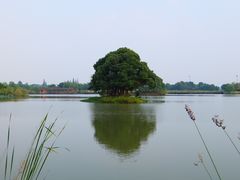 -梁鸿国家湿地公园
