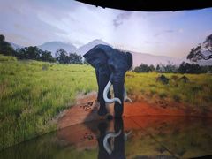 -城隍庙小礼品市场(福佑商厦福佑路店)