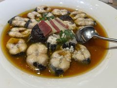 -圆苑(静安寺店)