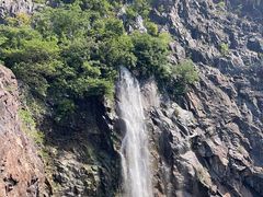 -上海辰山植物园