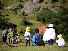 -大姆山草场