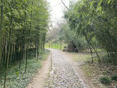 -狼山风景名胜区