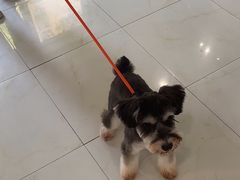 -奈斯宠物医院·核磁CT·异宠专科·内镜(中南店)