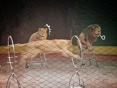 -山西乌金山旅游区