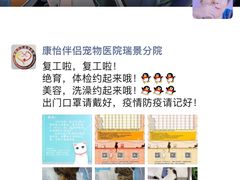 -瑞派康怡24h宠物医院·犬猫医疗中心·微创绝育(瑞景分院)
