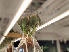 -% Arabica阿拉比卡咖啡(前滩太古里店)