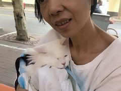 -满记甜品(日月光二店)