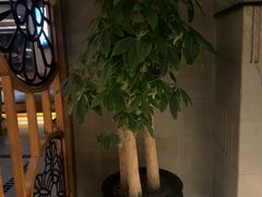 -浅深Cheersum(曹杨店)
