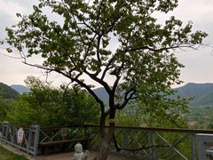 -八奇洞景区