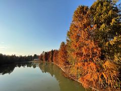 -上海海湾国家森林公园