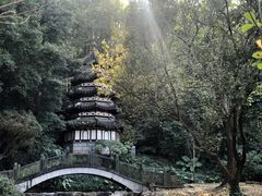 -深圳国际园林花卉博览园