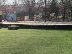 -北京鹿世界主题园