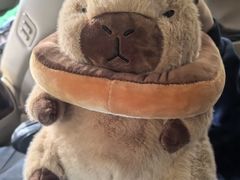 -弈海围棋学堂(夕照寺校区)