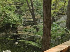 -封龙山风景区