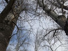 -颐和园