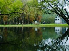 -上海共青森林公园