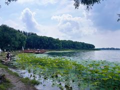 -丁香湖公园