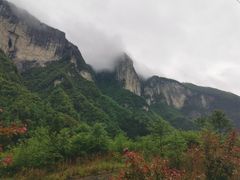 -鹿院坪生态旅游景区