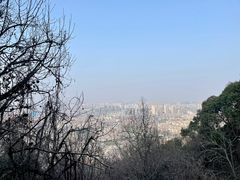 -惠山国家森林公园