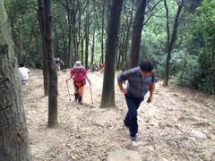 iphone_upload_pic-火炉山森林公园