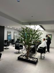 -付军剪艺JF ProSalon