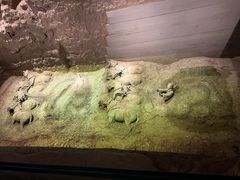 -秦始皇帝陵博物院-丽山园