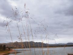-天梯山石窟
