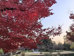 -焦山景区-万佛塔