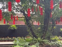 -呀诺达热带雨林
