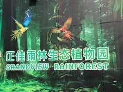 -正佳雨林生态植物园