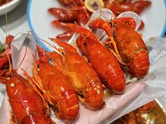 -杨氏青龙虾·羊蝎子(托乐嘉店)