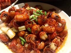 -巴厘龙虾·榜首油焖大虾(洞庭·艺术洋房店)