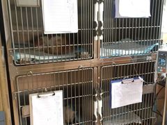 -惠康宠物医院(华能路店)