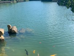 -白马涧龙池景区