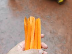 -长鹿旅游休博园