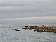-养马岛旅游度假区