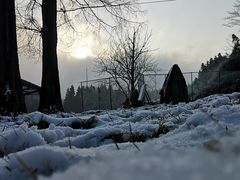 -武陵山森林公园