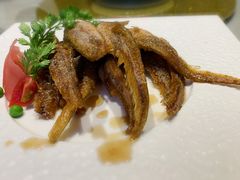 -骏莱海鲜鱼港(五角场店)