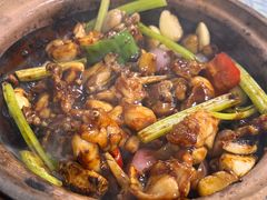 -天宝食坊·啫啫煲大排档(西华路店)