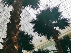 -威斯汀舞台餐厅