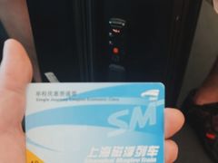 -龙阳路磁悬浮列车总站-停车场