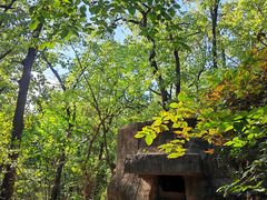 -紫金山山顶公园
