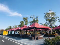 -春花秋色城市公园