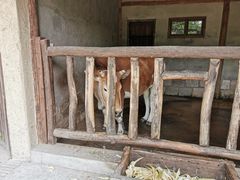 -乌村