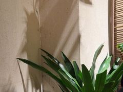 -大头椰·椰子鸡火锅(南宁万象城店)