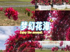 -华侨公园